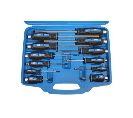 BGS set odvijača s maticom u koferu PH 0-PH 4 12-dijelni pro+ 7895 BP24
